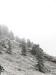 9 pictures - Paige Tabernash Rocky Mountain High