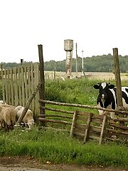 8 pictures - Ulyana Orsk Town of Light 2