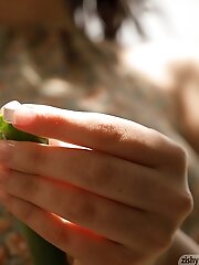 8 pictures - Sidney Alexis Monkey Babies